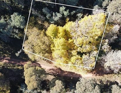 CA1/SEC 5 Buckland River Track, Buckland, Wangaratta, 0 Schlafzimmer, 0 Badezimmer, Lifestyle Property