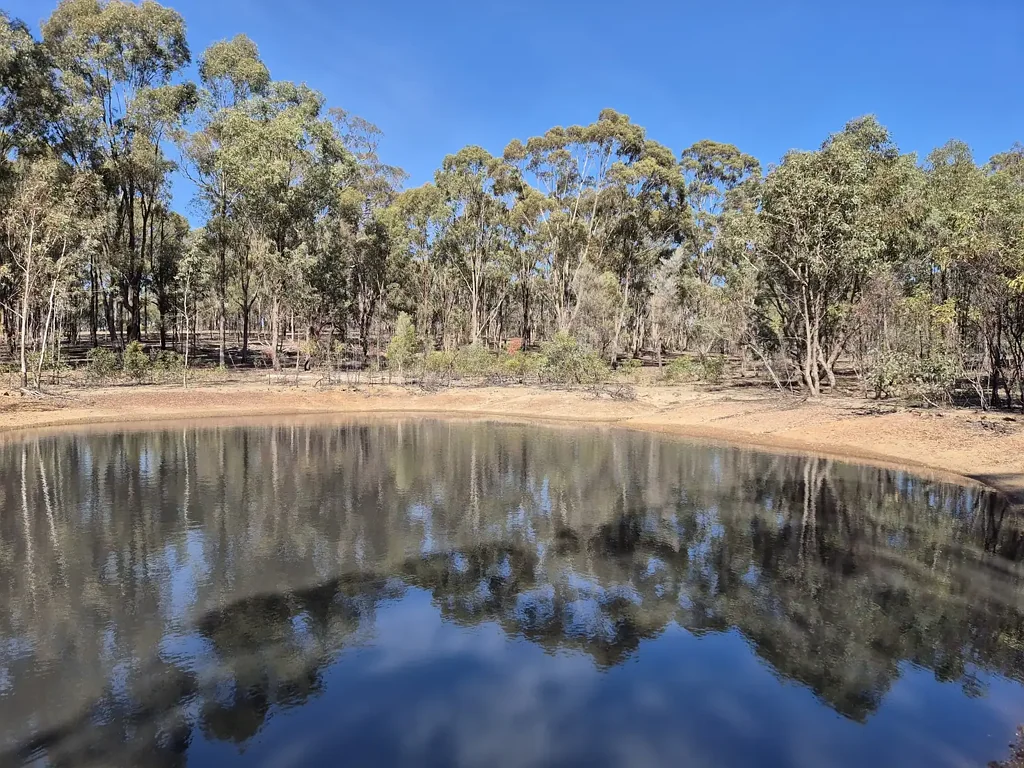 Koonda 67.7 Acre Hideaway and Wildlife Haven - Owned Since 2002 - Solid Storage Building - Woodlands