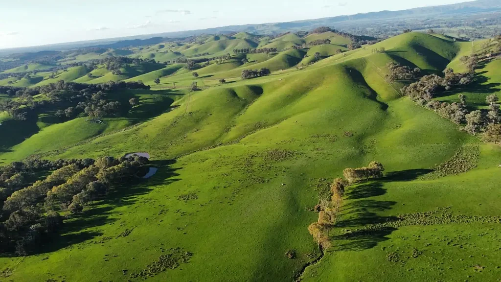 Bobinawarrah  Prime High-Rainfall Grazing Country - 181 Acres at Bobinawarrah