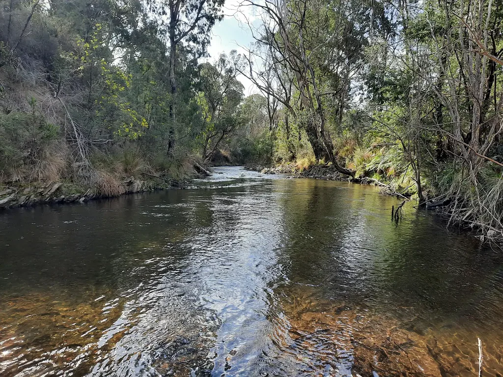 120 BONDS, Nariel Valley, VIC 3707