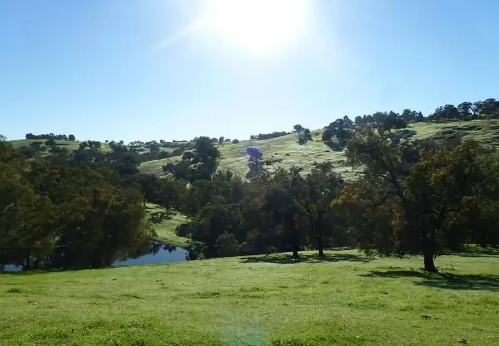 LOT 31 Clarkson Road, Bullsbrook, WA 6084