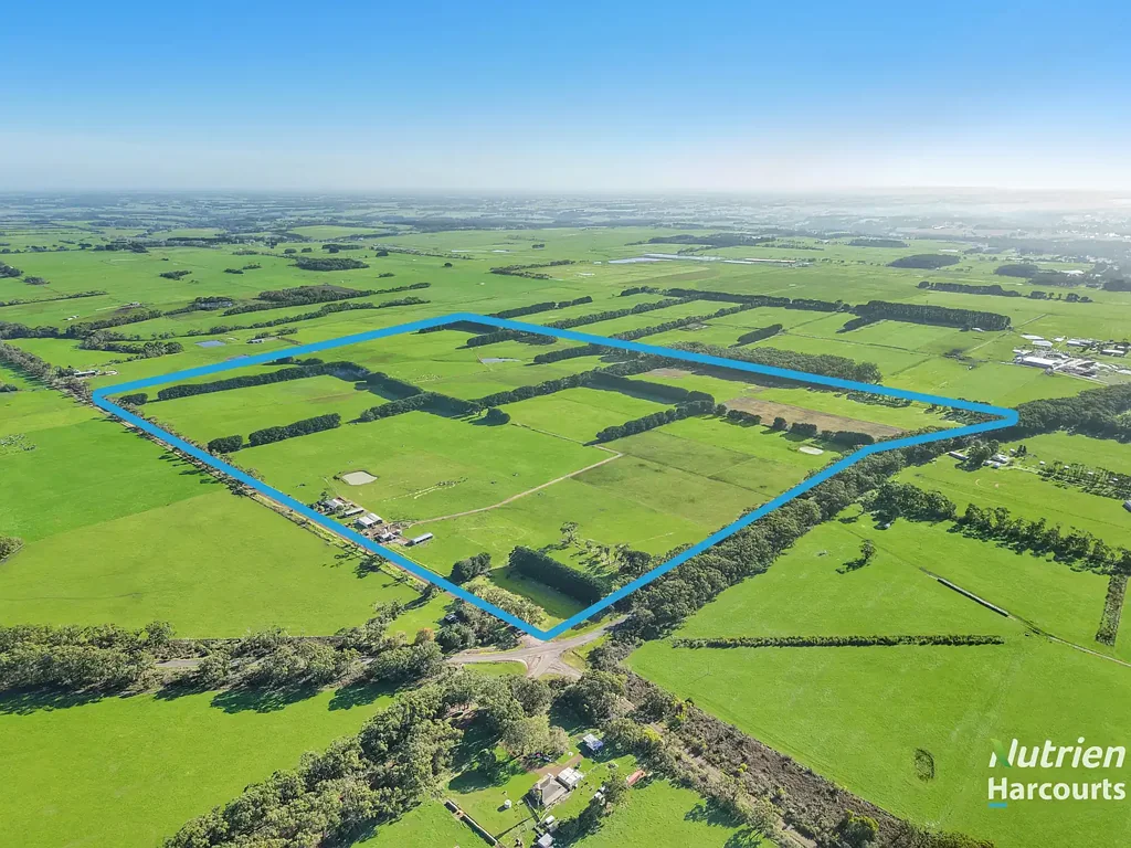 Timboon Versatile 230 Acres - Flat Timboon Grazing with Dairy Potential