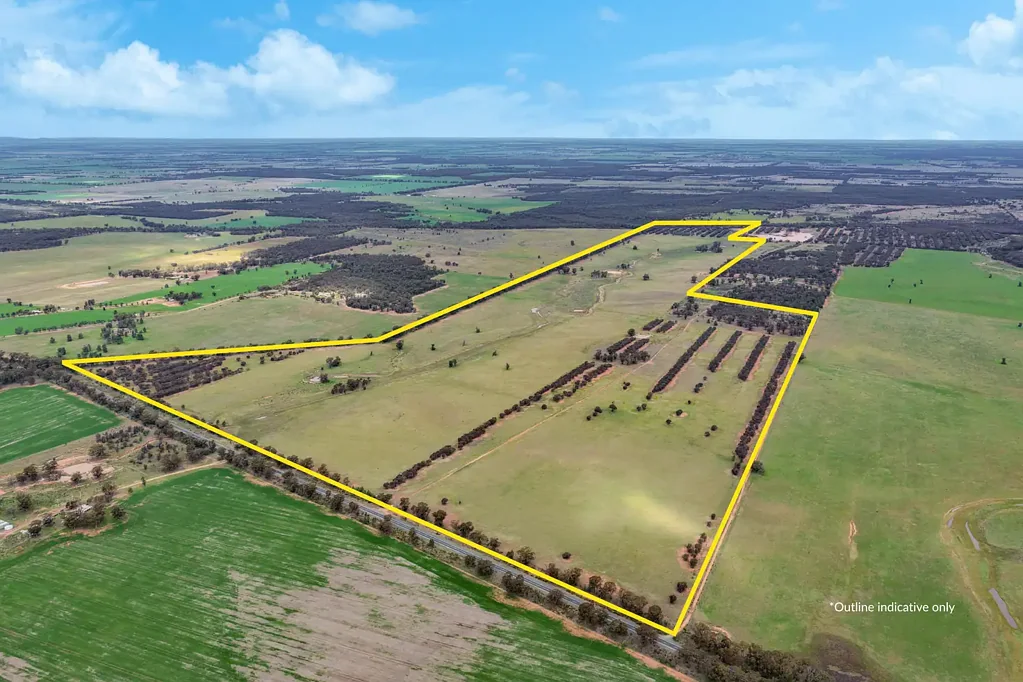 West Wyalong 'Oakvale' 530* Acres of Versatile Farming Country