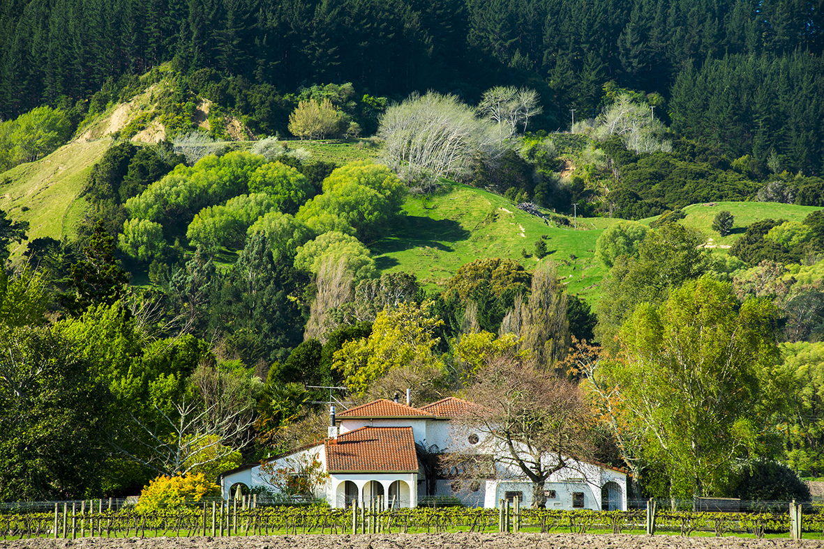 30 Kawatiri Road, Makauri, Gisborne, 0 રૂમ, 0 બાથરૂમ