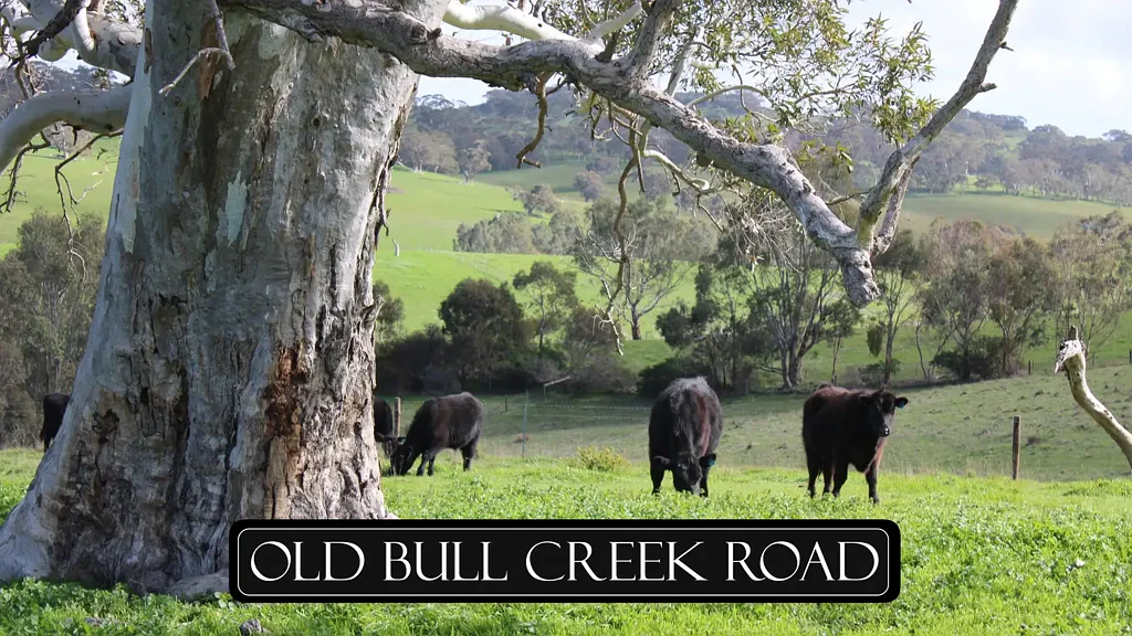 Strathalbyn OLD BULL CREEK ROAD