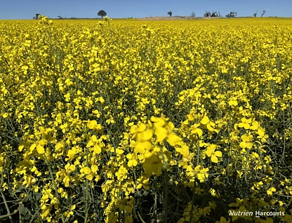 . 'Moyston', Cunderdin, WA 6407, 4 ห้องนอน, 2 ห้องน้ำ, Lifestyle Property