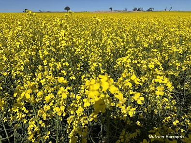 . 'Moyston', Cunderdin, WA 6407, 4房, 2浴, Lifestyle Property
