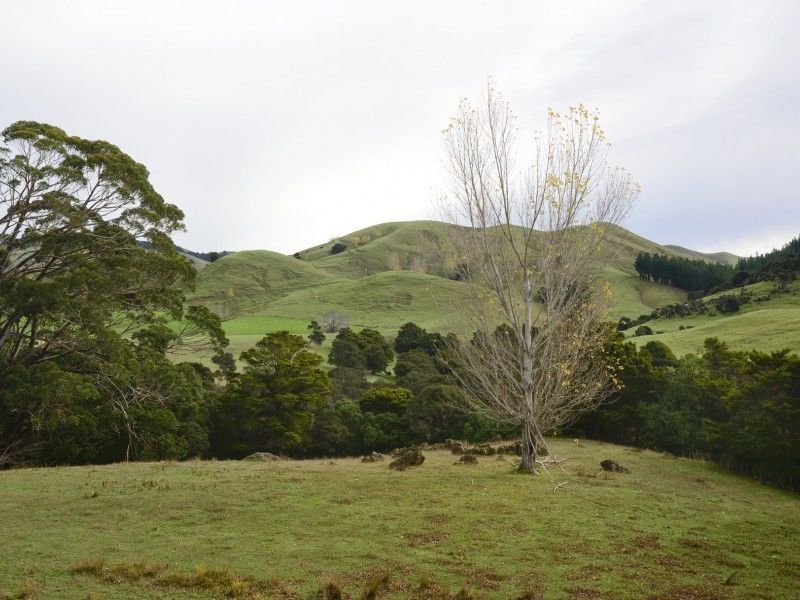 Whakarua Road, Hinakura, South Wairarapa, 0 침실, 0 욕실