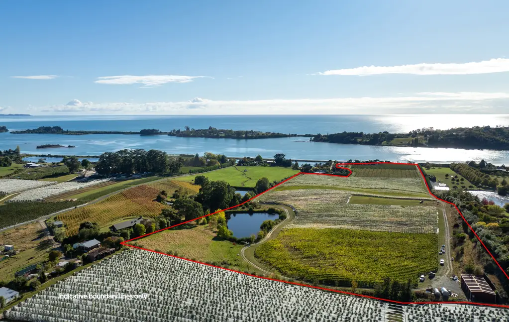Tasman  A unique coastal property with great income