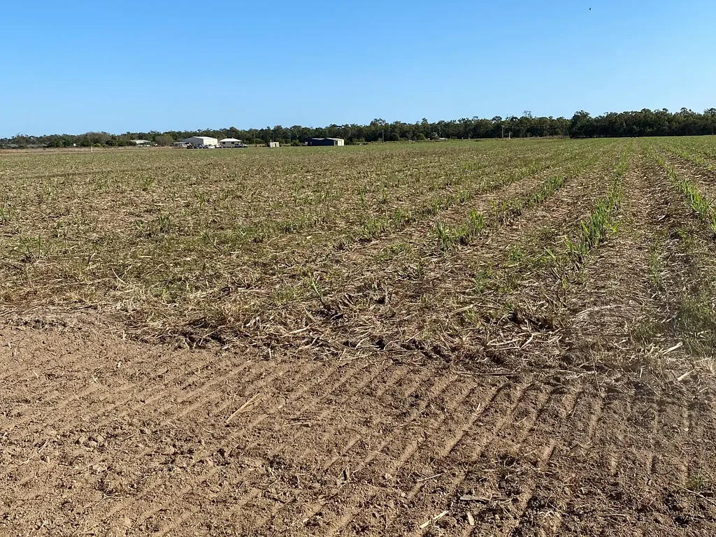 Alloway 28 acres PRIME LAND CLOSE TO TOWN - WITH 2 WATER SOURCES