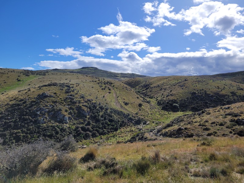 Hamilton Diggings Road, Ranfurly, Otago, 0 Bedrooms, 1 Bathrooms