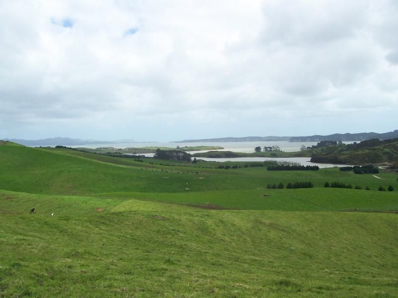 4267 State Highway 31 Kawhia Road, Oparau, Otorohanga, 0 rūma, 0 rūma horoi, Grazing