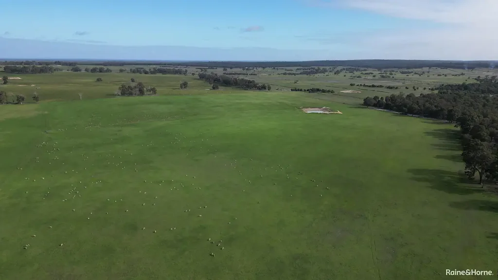 Darkan Prime Grazing Country in the Darkan District