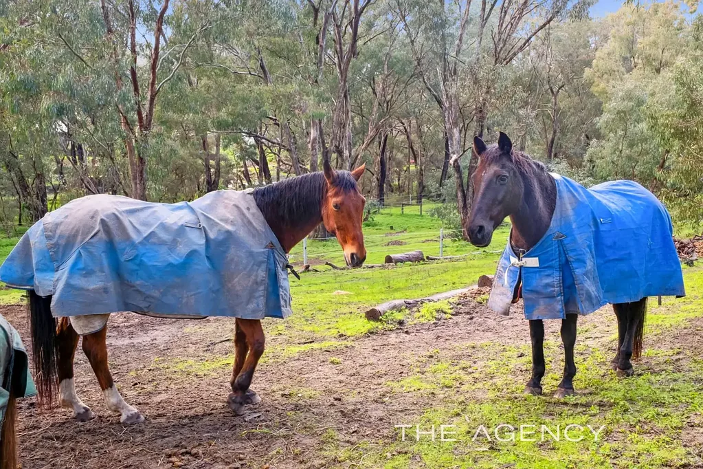 Helena Valley 3ਬੈੱਡਰੂਮ Bespoke Secluded 5 Acre  Pony Lovers Paradise Bordering The Helena River & National Park