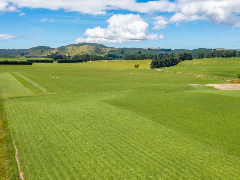 132 River Road, Waiau, Hurunui, 1房, 0浴