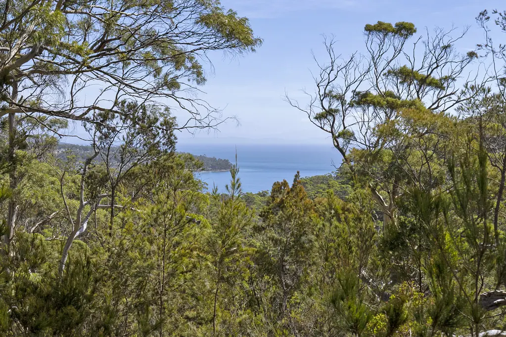 White Beach Two Stunning 50-Acre Tasmanian Bushland Parcels ? Buy One or Both!