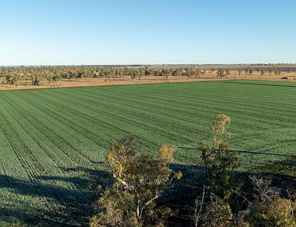 "Three Oaks" 1268 Tummaville Road, Tummaville, Darling Downs, 7 कमरे, 2 बाथरूम, Lifestyle Property