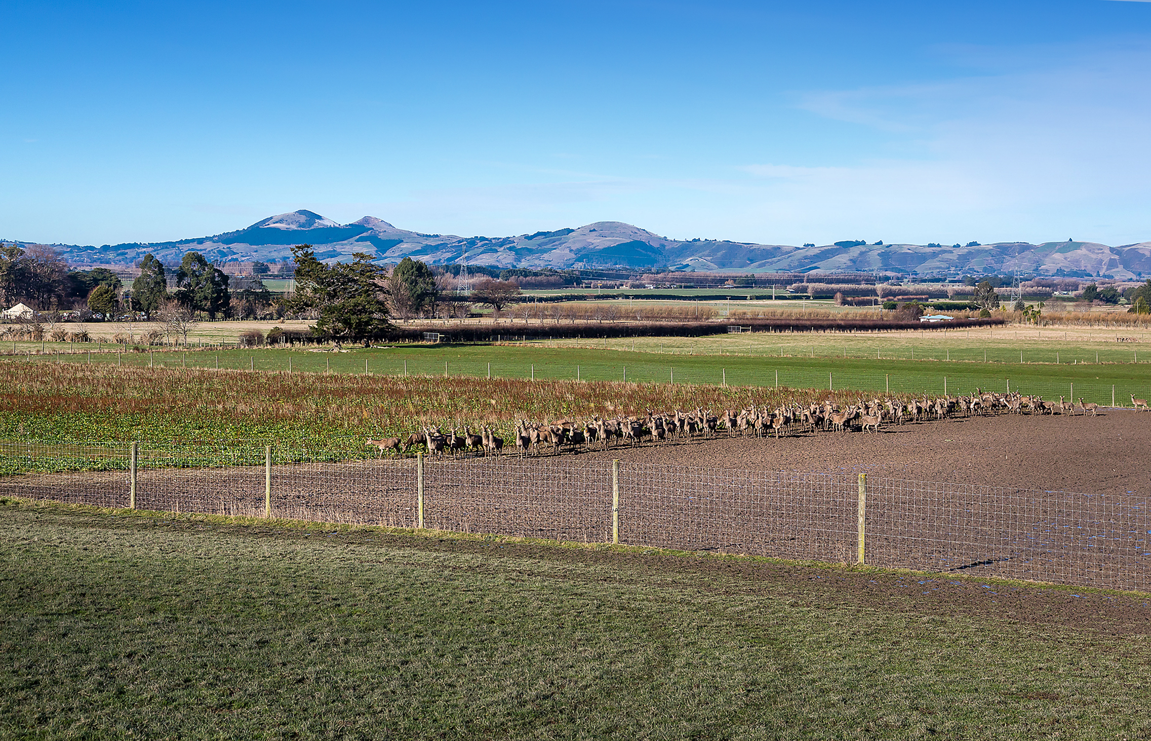 125 Woodside Road, Outram, Dunedin, 0 Kuwarto, 0 Banyo, Grazing