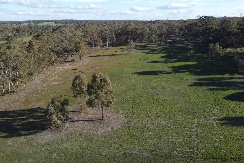 St Arnaud  Rare Residential Opportunity in St Arnaud