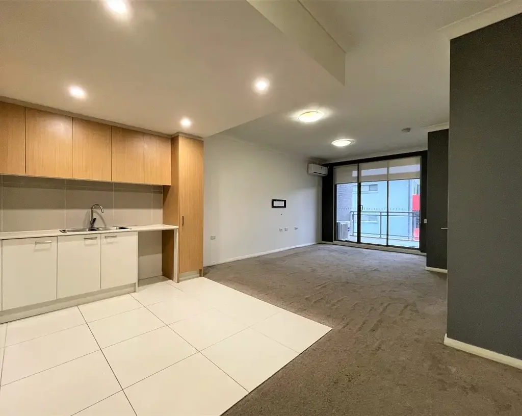 Spacious Apartment