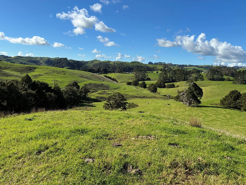 Mangapai and Surrounds  Elevated, Expansive, and Perfectly Positioned