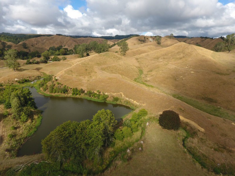 345 Oniao Road, Aria, Waitomo, 0 कमरे, 0 बाथरूम