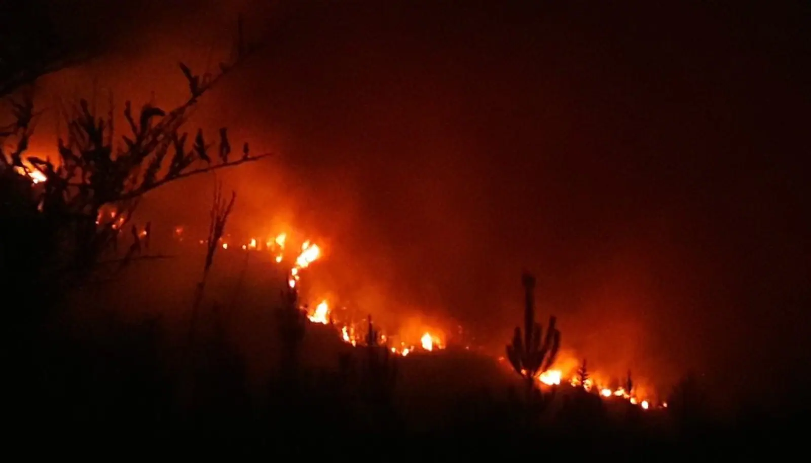 细数新西兰史上数场大火！最惨重：41人死亡！最长时间：66天才灭！