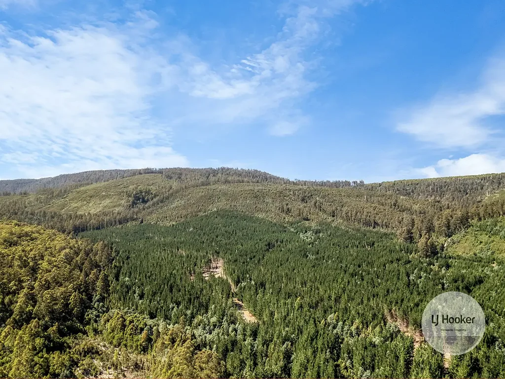 Maydena Land sale