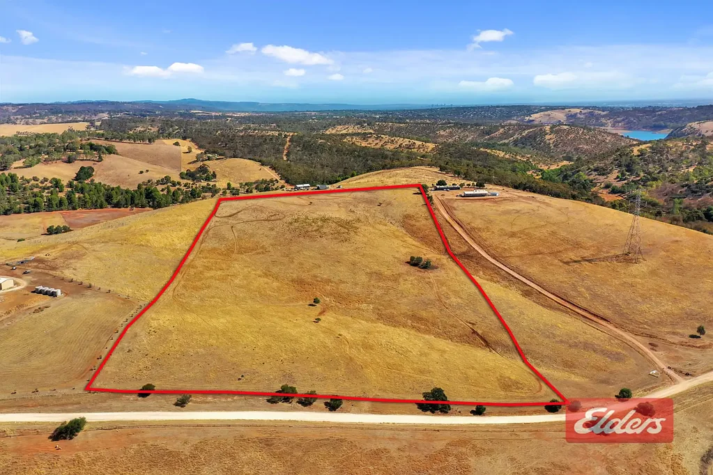 One Tree Hill 20 ACRES