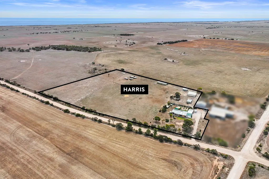 334 Minlacowie Road, Minlaton, SA 5575