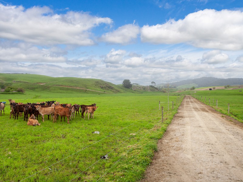 Piakonui Road, Richmond Downs, Matamata, 0房, 1浴