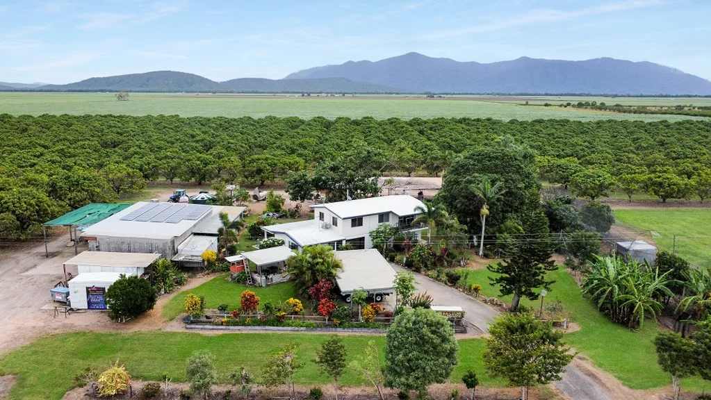 Horseshoe Lagoon 10 Acres with around 200 Mango Trees