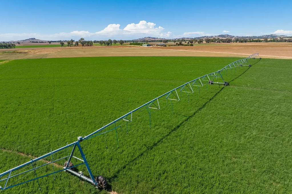 Cowra HIGHLY DEVELOPED IRRIGATION FARM!  BUY in part or as a whole