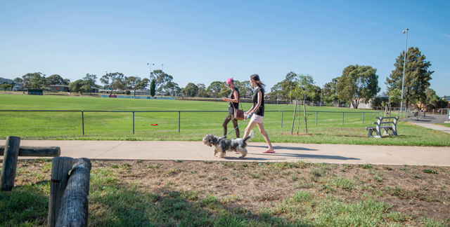 7 YUNGERA ST, FAWKNER VIC 3060, 0房, 0浴, House