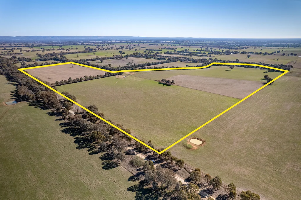 Byawatha A Productive Hidden Gem Only 60kms* to Albury