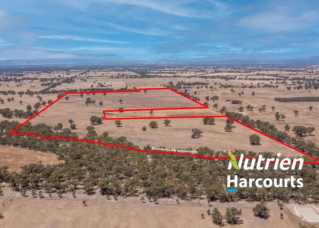 Laceby  116.7  Ha "Cameron's" 288 Ac