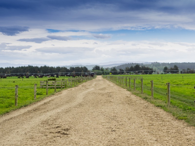 1236 Earl Road, Geraldine, Timaru, 0 rūma, 0 rūma horoi