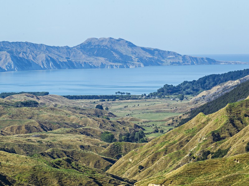 1001 Tunanui Road, Mahia, Wairoa, 0 phòng ngủ, 0 phòng tắm