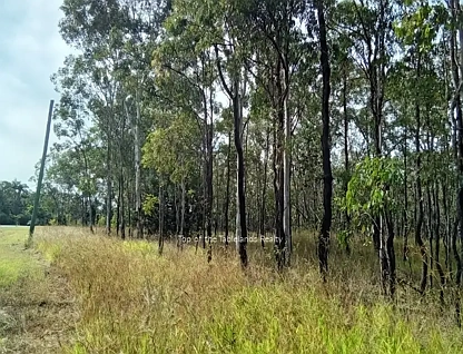 189 Millstream Pde, Millstream, QLD 4888, 0 ਕਮਰੇ, 0 ਬਾਥਰੂਮ, Section