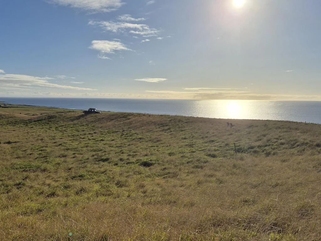 Chatham Island  Exceptional Chatham Island - Three 1.0 Ha Lots