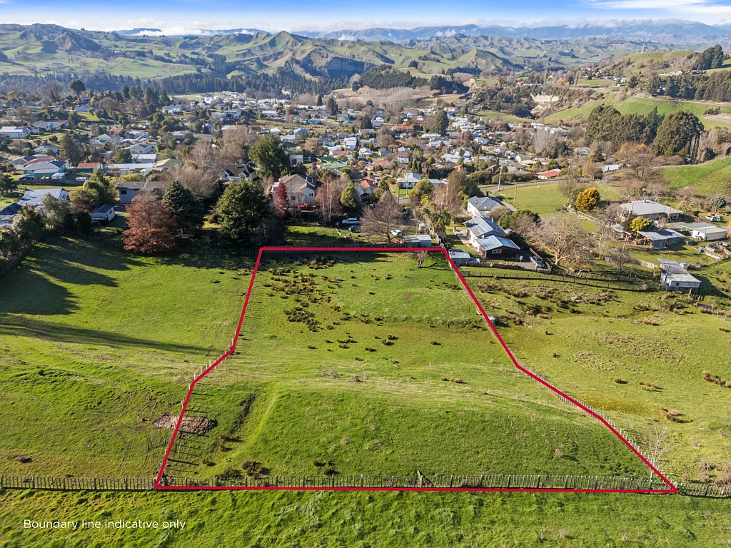 Taihape and Surrounds  Bare land section