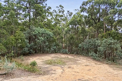 370 Sharpes Lane, Wheatsheaf, VIC 3461, 0房, 0浴, Section