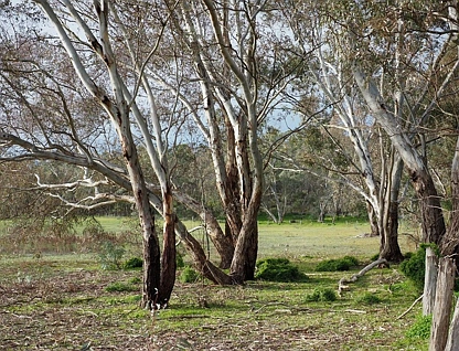 LOT 11/60 Caldwell Street, Heathcote, Wangaratta, 0房, 0浴, Section