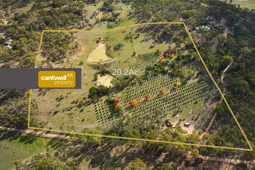Yandoit  A Considered 20 Acres Between Two Good Towns