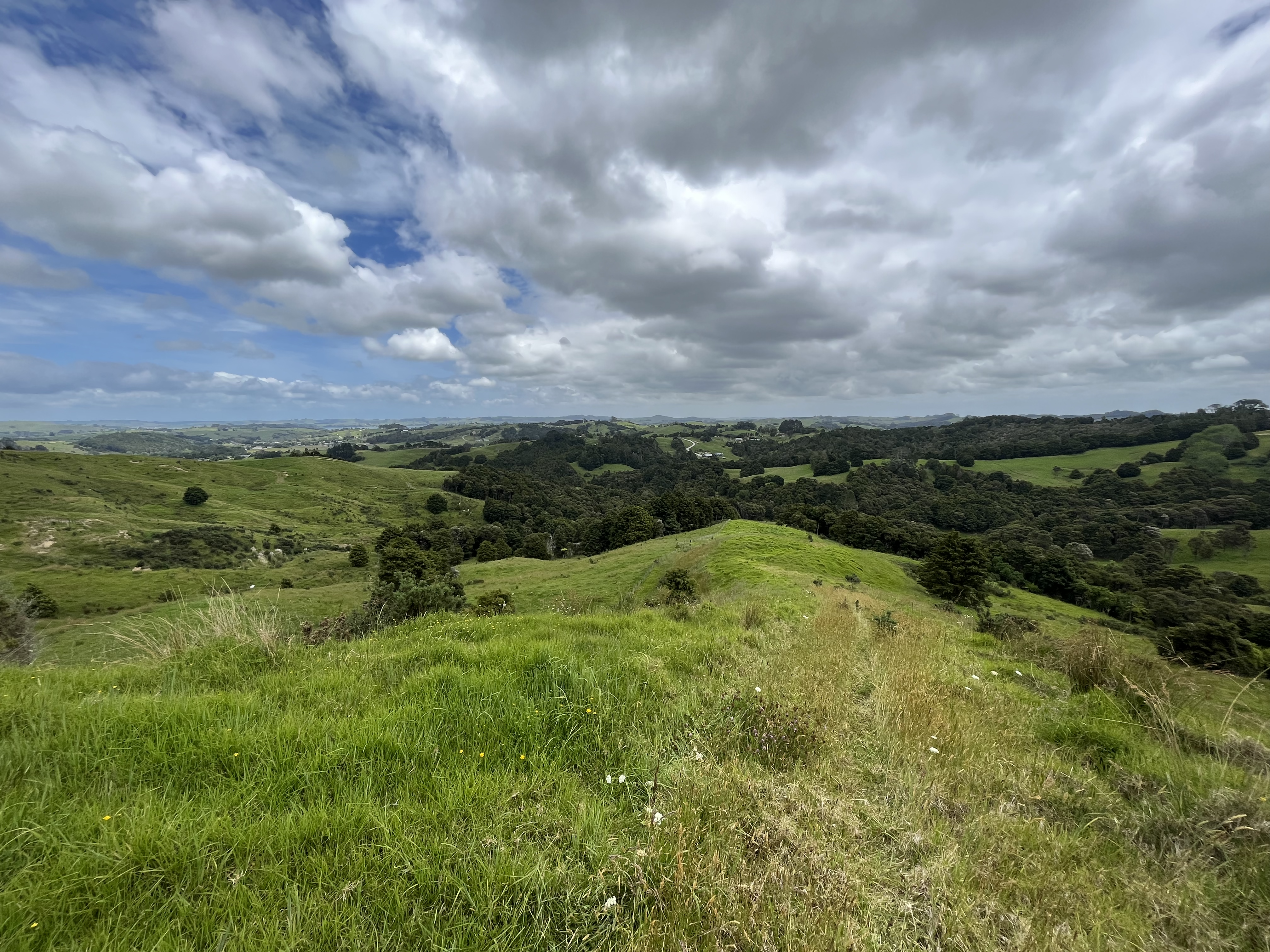 Franklin Road, Paparoa, Kaipara, 0房, 1浴, Lifestyle Section