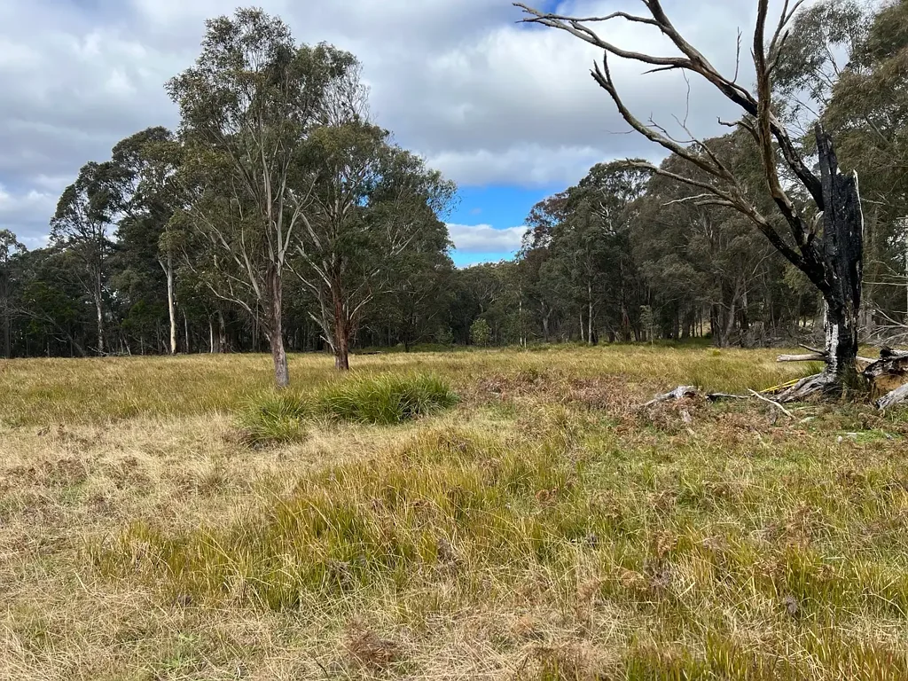 Red Range 220 ACRE GRAZING & HUNTING BLOCK