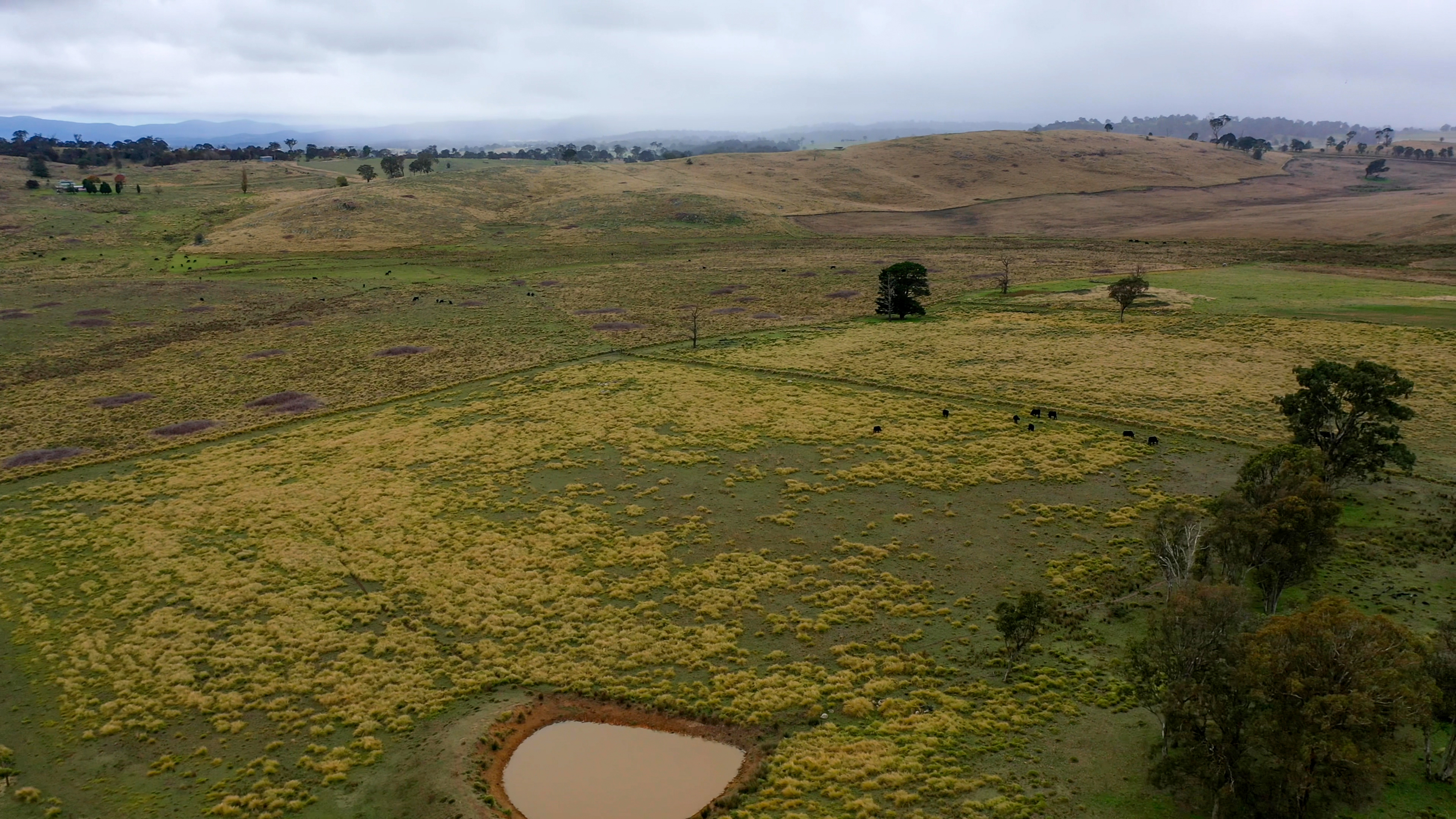 47A BRYANS GAP RD, TENTERFIELD NSW 2372, 0 rūma, 0 rūma horoi, Section