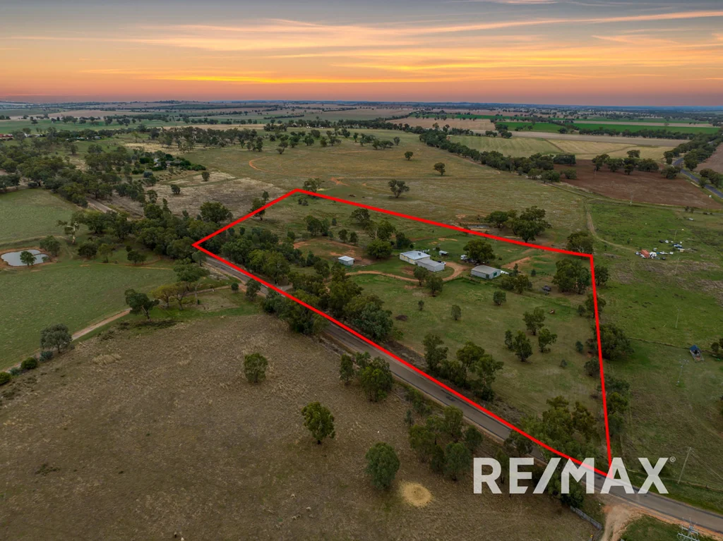 32 Murrulebale Road, Junee, NSW 2663
