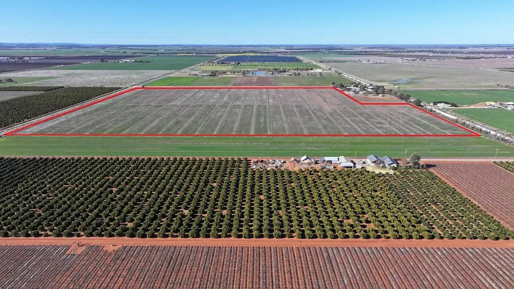 Yoogali  93 Acres- Building or Farmland