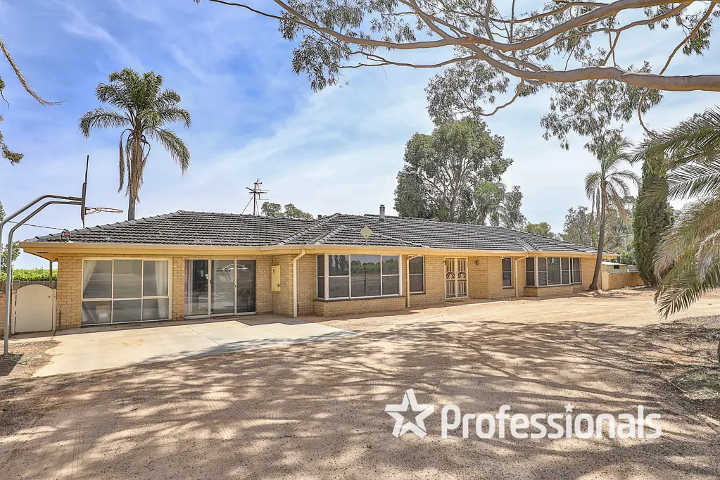 250 Belar Avenue, Irymple, VIC 3498